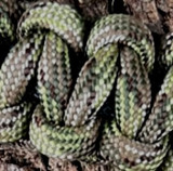 Olive Sparrow strap color